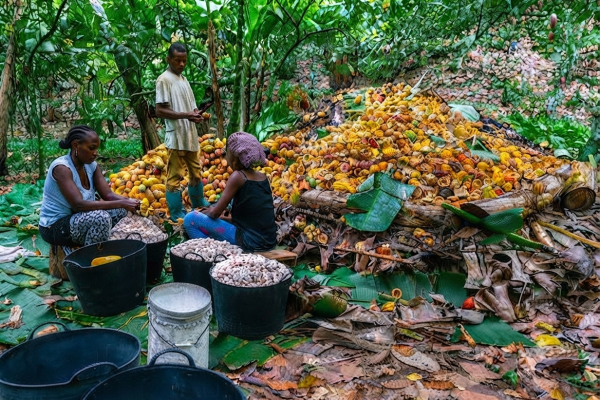 São Tomé and Príncipe: From Cocoa Colony to Oil and Passports