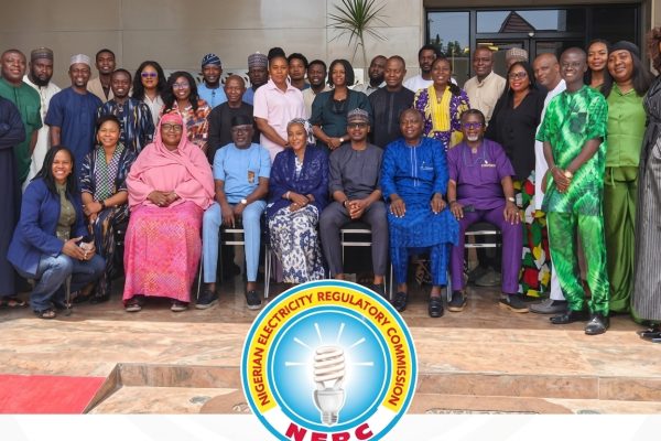 NERC Seeks Judicial Buy-In For Power Reforms Amid Oversight Transfer to 16 States