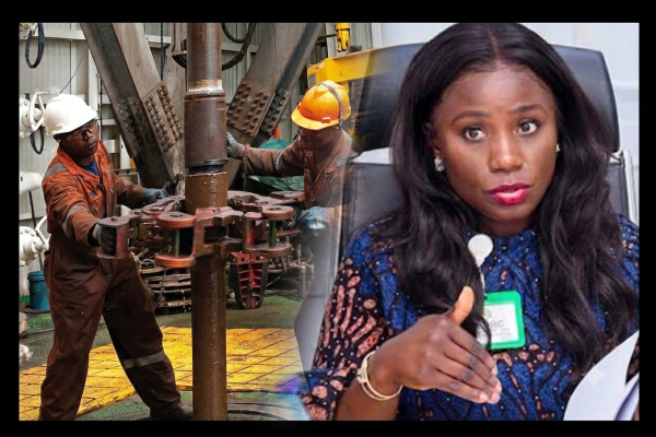 Nigeria Needs $38.3 Billion to Bridge Energy Funding Gap, Says Presidential Adviser