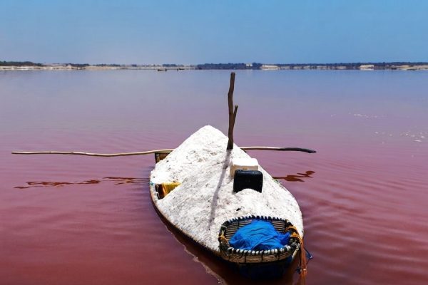 Crucial Salt Trade Revives As Pink Lake Overcomes Flood Devastation