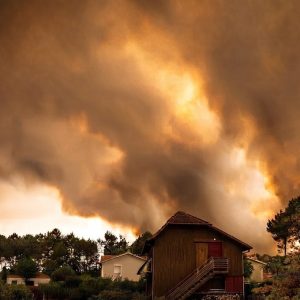 Wildfires Devastate the Countryside, Lescure Warns of Severe Regional Economic Shock