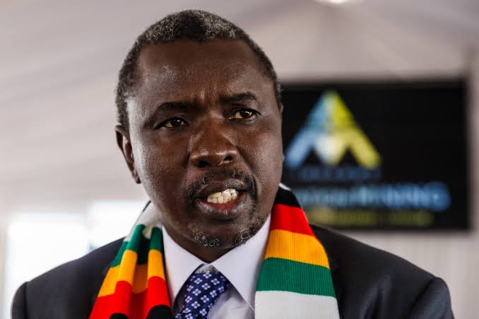 Zimbabwe Names Billionaire Kudakwashe Tagwirei Economic Development Minister